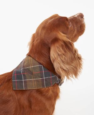 Tartan Bandana