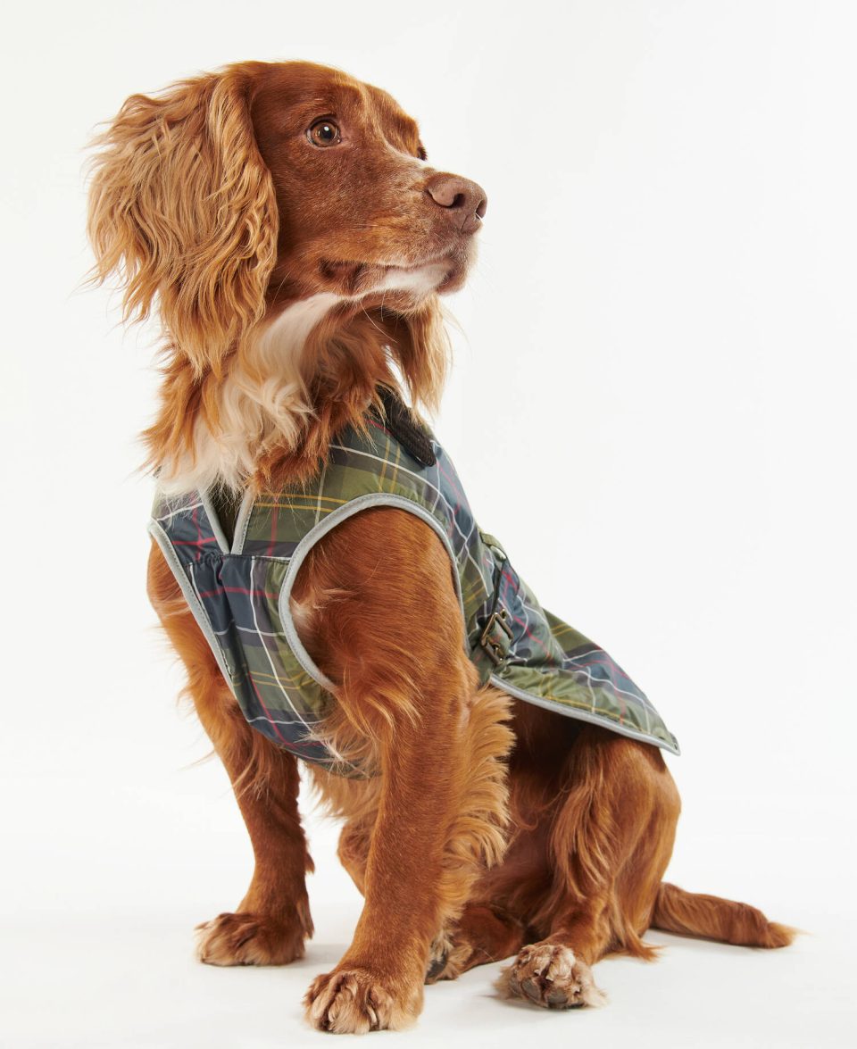 Waterproof Tartan Dog Coat