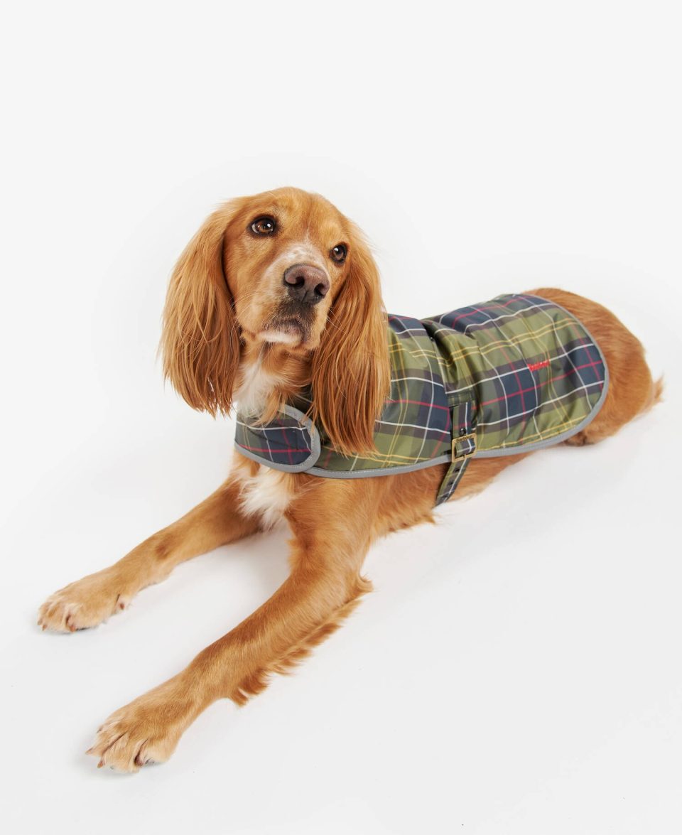 Wetherham Tartan Dog Coat